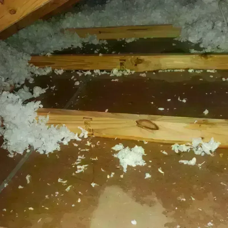 Attic Water Damage in Lincoln Village, CA